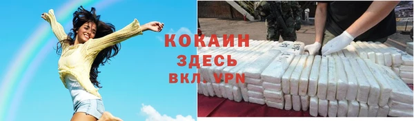 прущие грибы Алексин