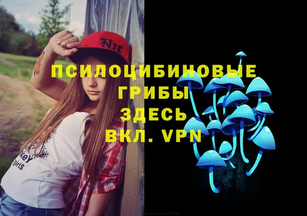 прущие грибы Алексин