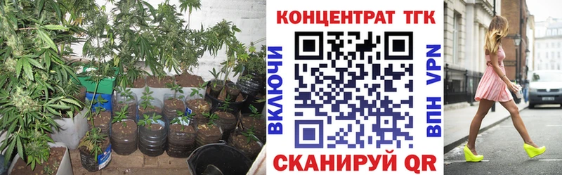 Дистиллят ТГК гашишное масло  где найти   Ступино 
