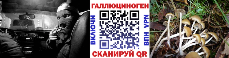 Псилоцибиновые грибы MAGIC MUSHROOMS  где продают наркотики  Ступино 